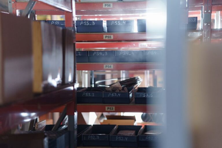 Organized warehouse shelving layout featuring bin location labeling and designated golden zone picking rows